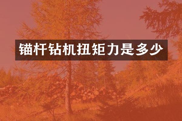 錨桿鉆機扭矩力是多少