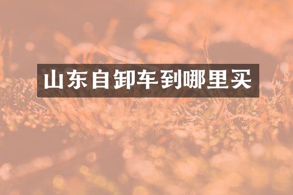 山東自卸車到哪里買