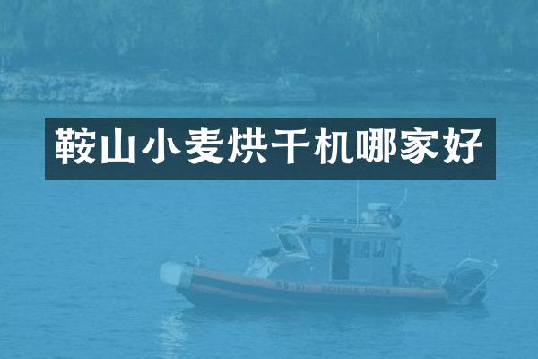 鞍山小麥烘干機哪家好