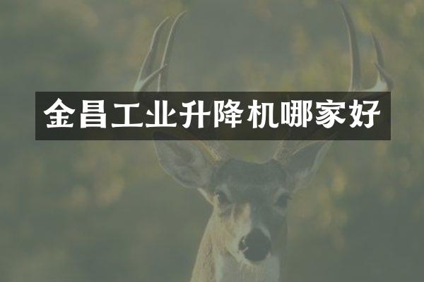 金昌工業(yè)升降機哪家好