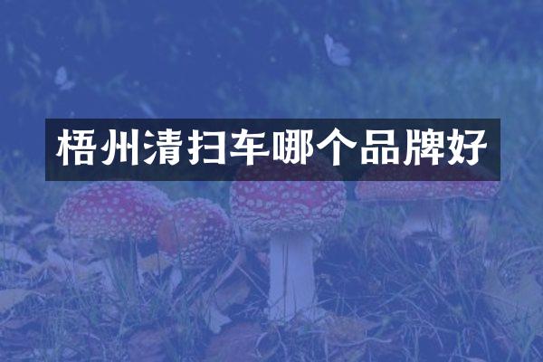 梧州清扫车哪个品牌好