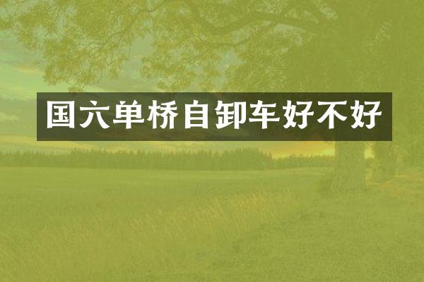 国六单桥自卸车好不好