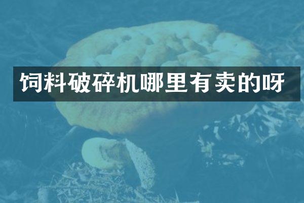 飼料破碎機(jī)哪里有賣的呀
