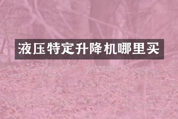 液壓特定升降機(jī)哪里買
