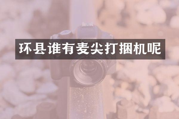 环县谁有麦尖打捆机呢