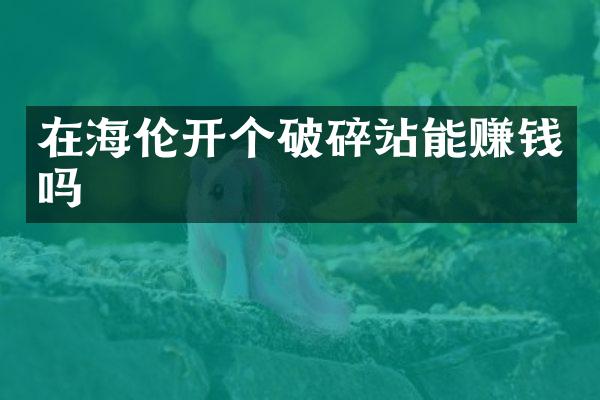 在海倫開個破碎站能賺錢嗎