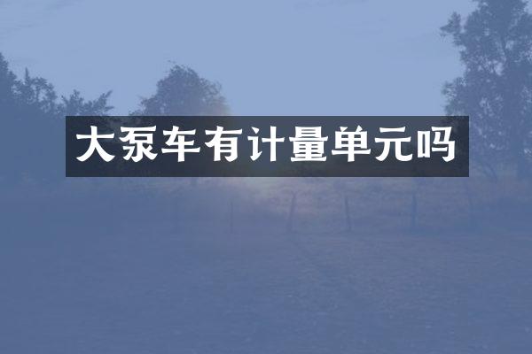 大泵车有计量单元吗