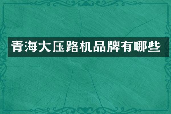 青海大壓路機品牌有哪些