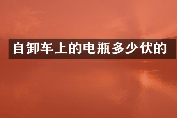 自卸车上的电瓶多少伏的