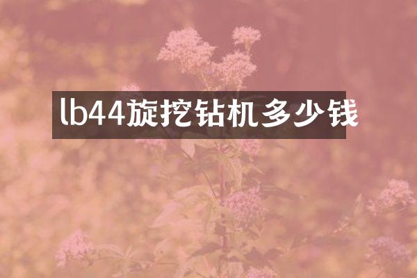 lb44旋挖钻机多少钱