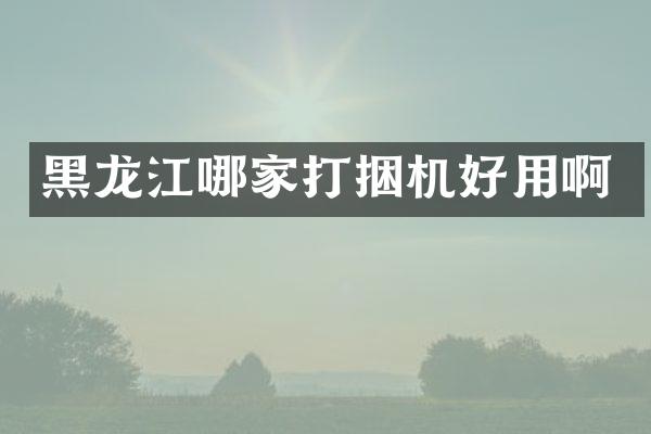 黑龍江哪家打捆機好用啊