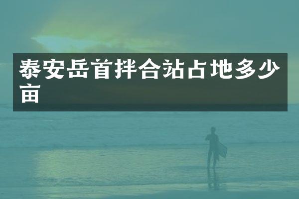 泰安岳首拌合站占地多少亩