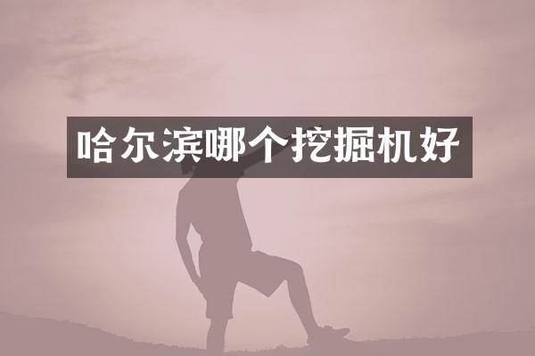 哈爾濱哪個(gè)挖掘機(jī)好