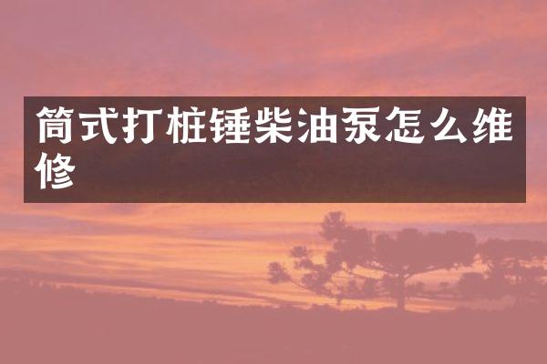 筒式打桩锤柴油泵怎么维修