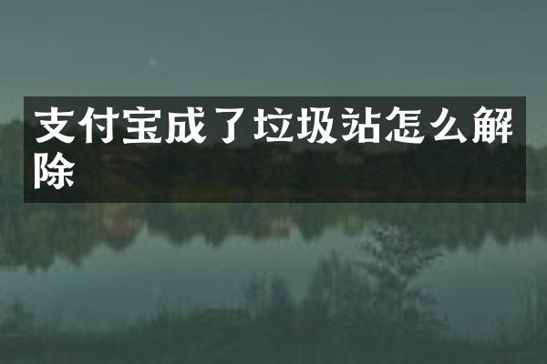 支付宝成了垃圾站怎么解除