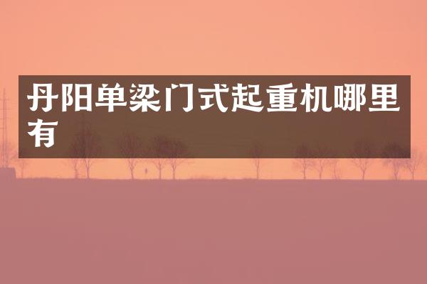 丹陽(yáng)單梁門式起重機(jī)哪里有