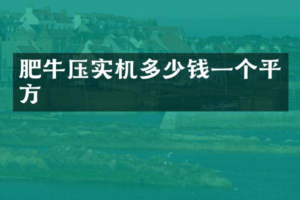 肥牛壓實機多少錢一個平方