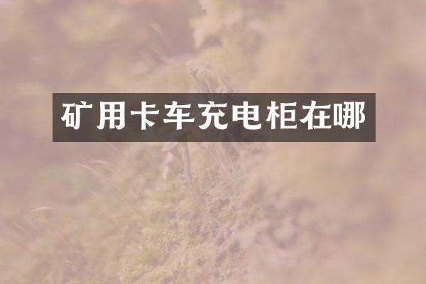 礦用卡車(chē)充電柜在哪