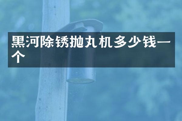 黑河除銹拋丸機(jī)多少錢一個(gè)