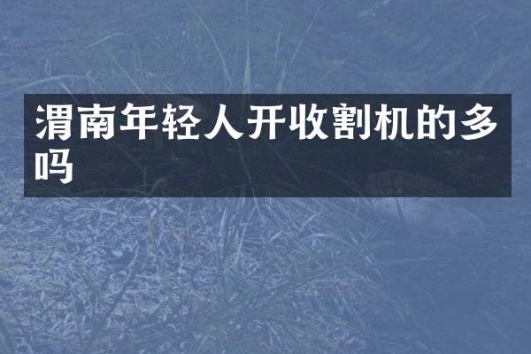 渭南年輕人開收割機的多嗎