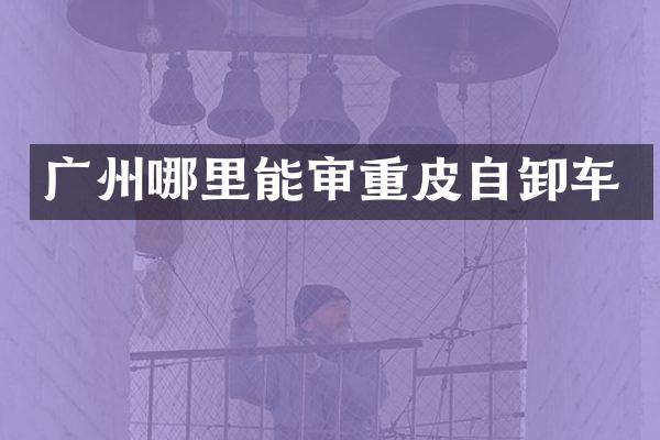 广州哪里能审重皮自卸车