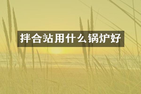 拌合站用什么鍋爐好