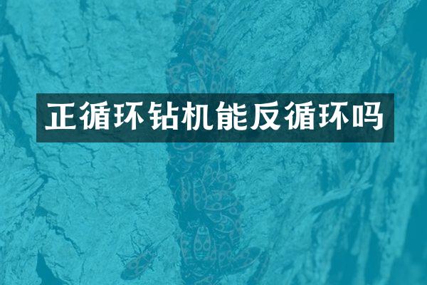 正循環(huán)鉆機能反循環(huán)嗎