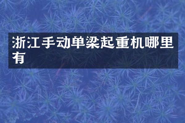 浙江手動單梁起重機哪里有