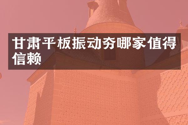 甘肅平板振動(dòng)夯哪家值得信賴