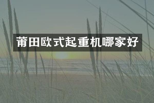 莆田歐式起重機(jī)哪家好