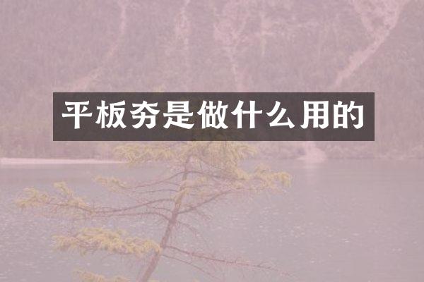 平板夯是做什么用的