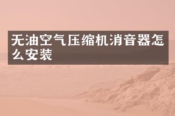 無油空氣壓縮機(jī)消音器怎么安裝