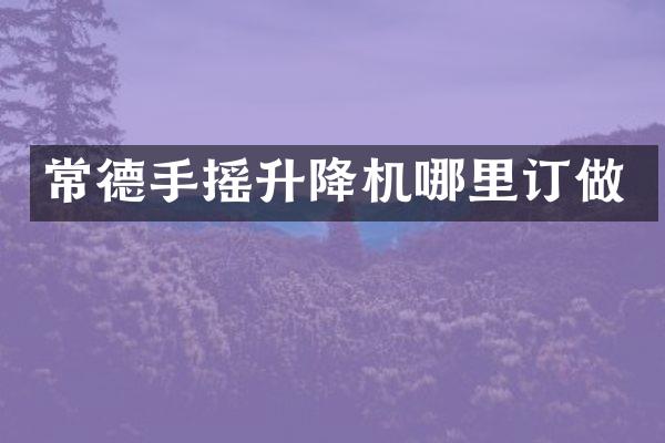 常德手搖升降機哪里訂做