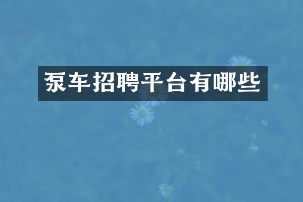 泵車招聘平臺有哪些