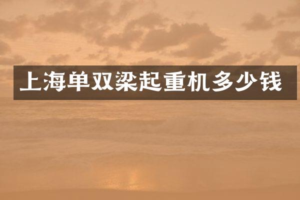 上海單雙梁起重機多少錢