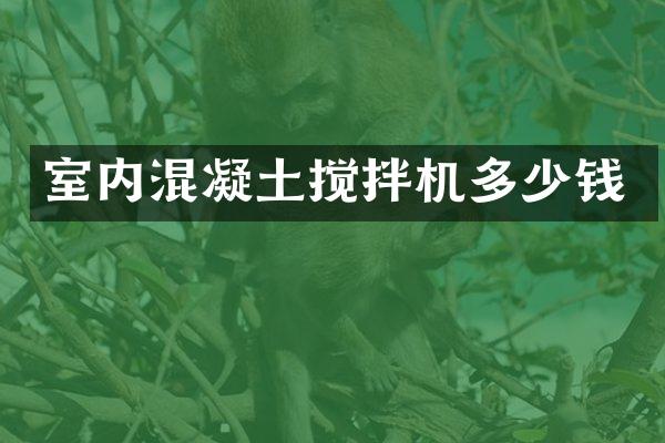 室內(nèi)混凝土攪拌機多少錢