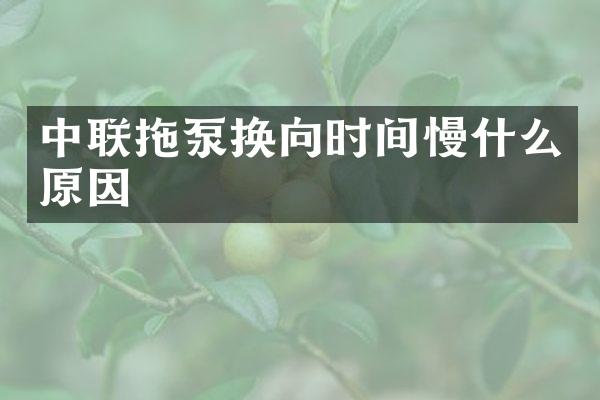 中聯(lián)拖泵換向時間慢什么原因