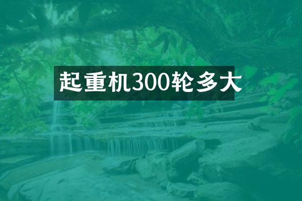 起重機300輪多大