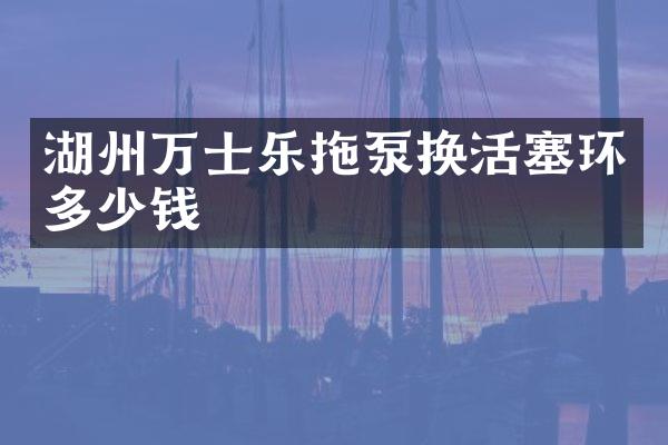 湖州萬士樂拖泵換活塞環(huán)多少錢