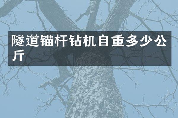 隧道錨桿鉆機(jī)自重多少公斤