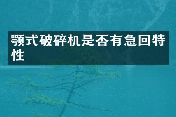 顎式破碎機(jī)是否有急回特性