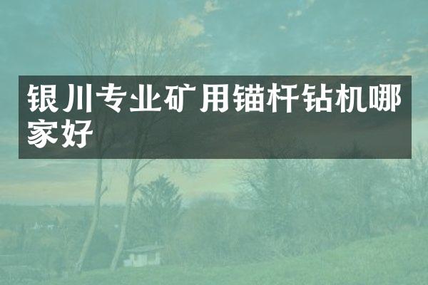 銀川專業(yè)礦用錨桿鉆機(jī)哪家好