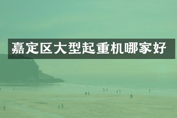 嘉定區(qū)大型起重機哪家好