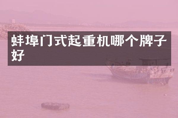 蚌埠門(mén)式起重機(jī)哪個(gè)牌子好