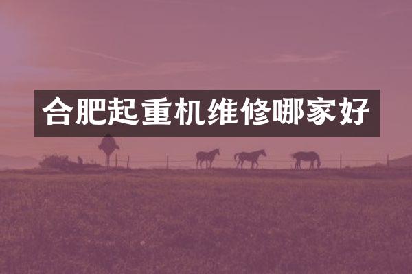 合肥起重機維修哪家好