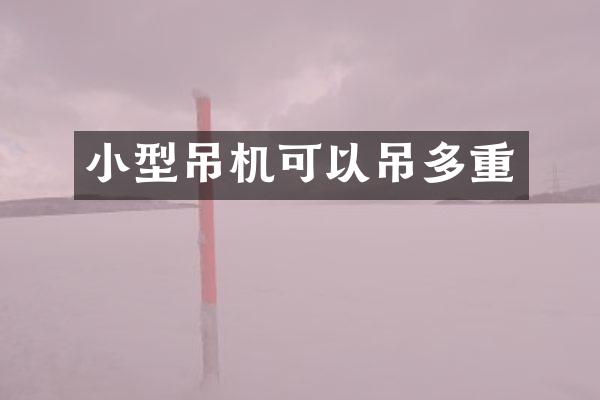 小型吊機可以吊多重