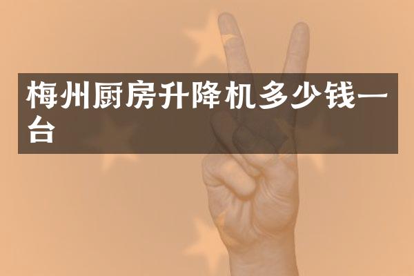 梅州廚房升降機(jī)多少錢一臺(tái)