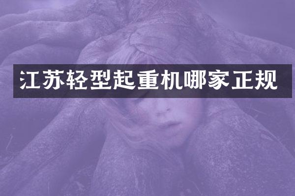 江蘇輕型起重機哪家正規(guī)