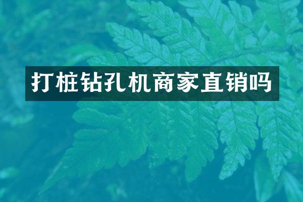 打樁鉆孔機商家直銷嗎