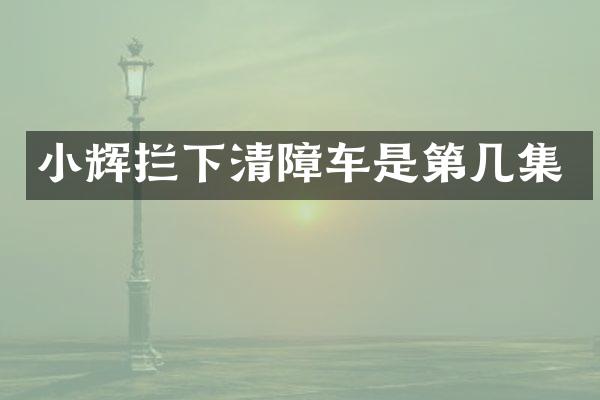 小輝攔下清障車是第幾集